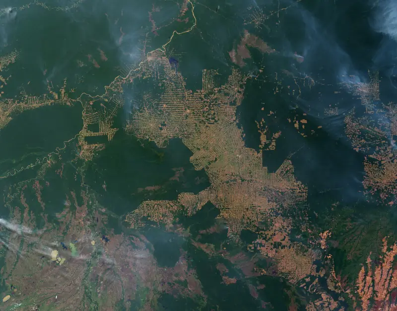 Imagem de satélite de desmatamento e focos de fogo na fronteira agrícola de Rondônia, 12/08/2007: floresta intacta em verde-escuro, áreas abertas em bege e verde-claro, no padrão “espinha de peixe” das estradas. Imagem de contexto: a redução do desmatamento na Amazônia era a maior parcela do compromisso de 2009.