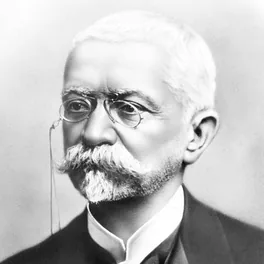 Retrato de Afonso Pena