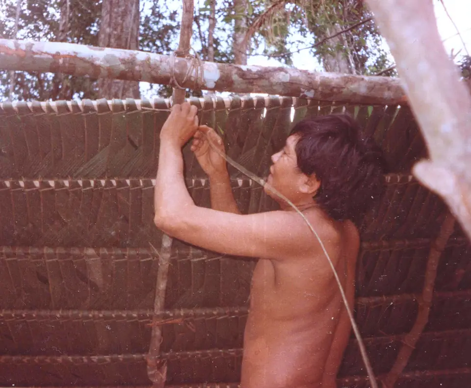 Yanomami conserta a cobertura de palha de um shabono em Toototobi, Terra Indígena Yanomami, julho de 1998