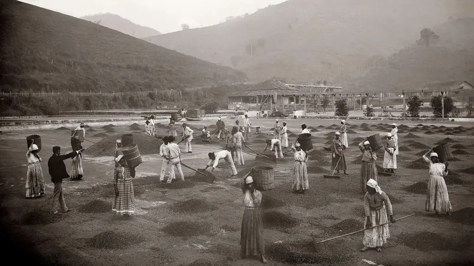 Escravizados na lavoura de café, foto de Marc Ferrez (1882)